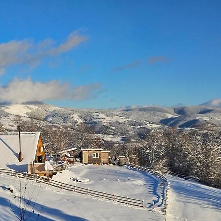 Cabana Lupul Din Apuseni Matisesti Exterior foto