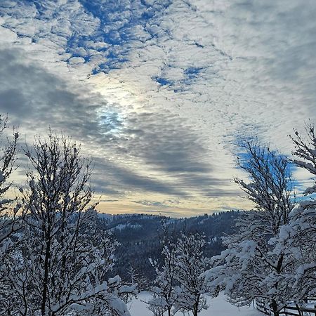 Cabana Lupul Din Apuseni Matisesti Exterior foto