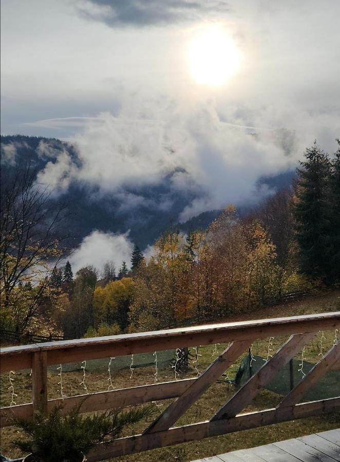 Cabana Lupul Din Apuseni Matisesti Exterior foto