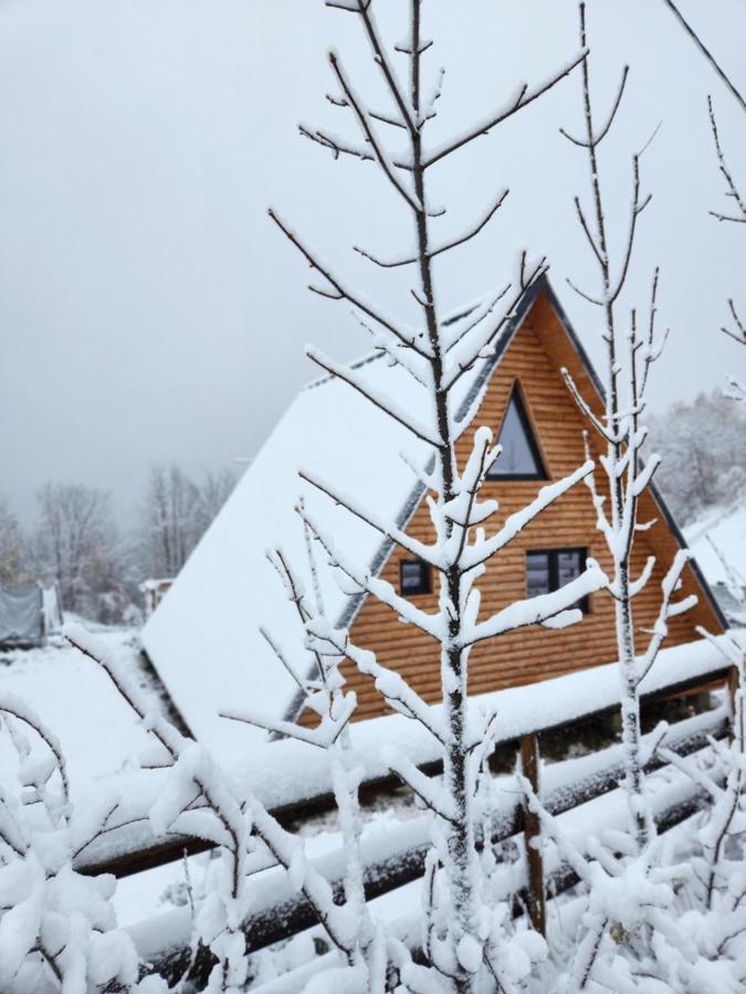 Cabana Lupul Din Apuseni Matisesti Exterior foto