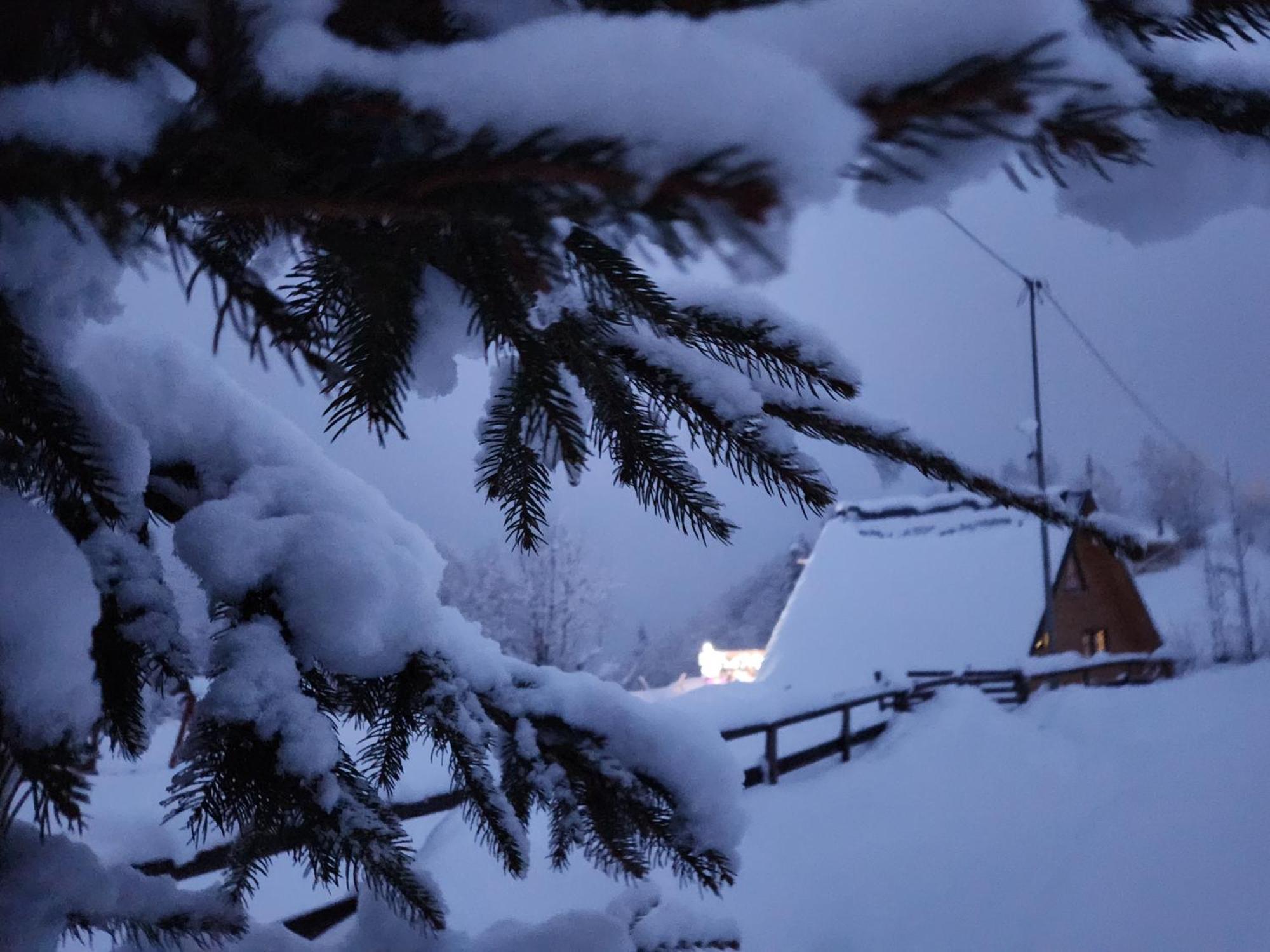 Cabana Lupul Din Apuseni Matisesti Exterior foto